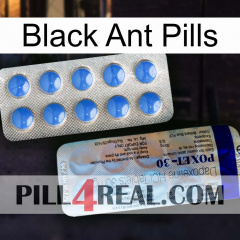 Black Ant Pills 39